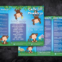 Flyer and Brochure Design